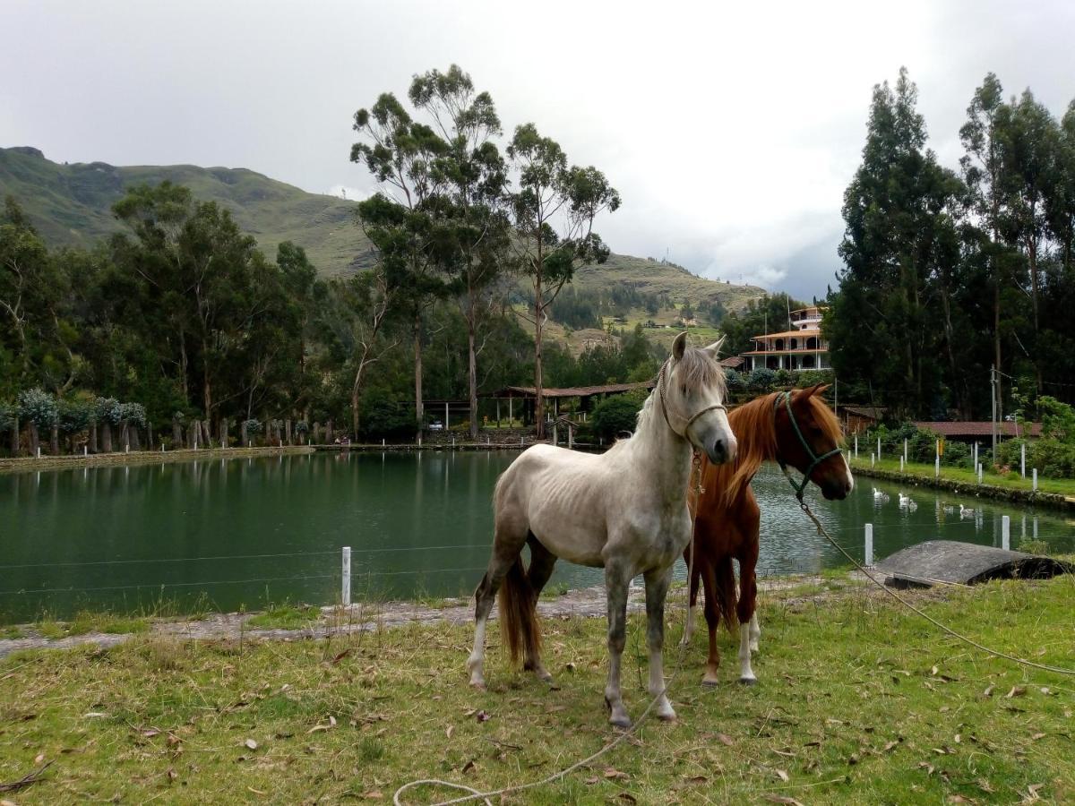 Fundo El Chocho Hotel